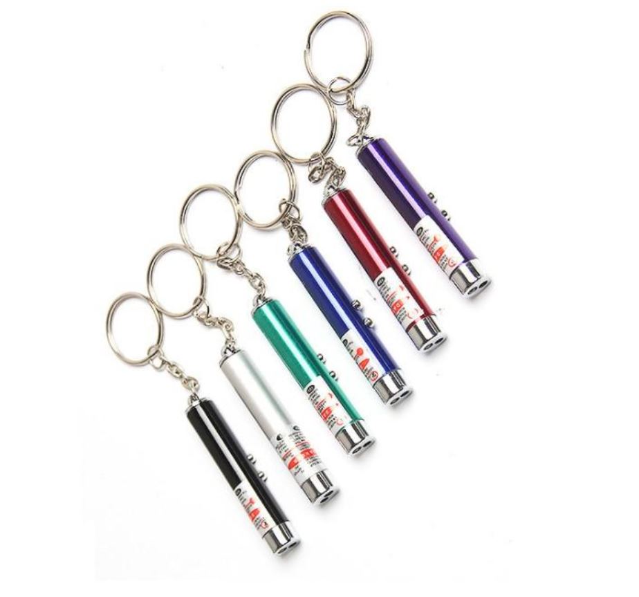 2 in 1 Laser Pointer / Light