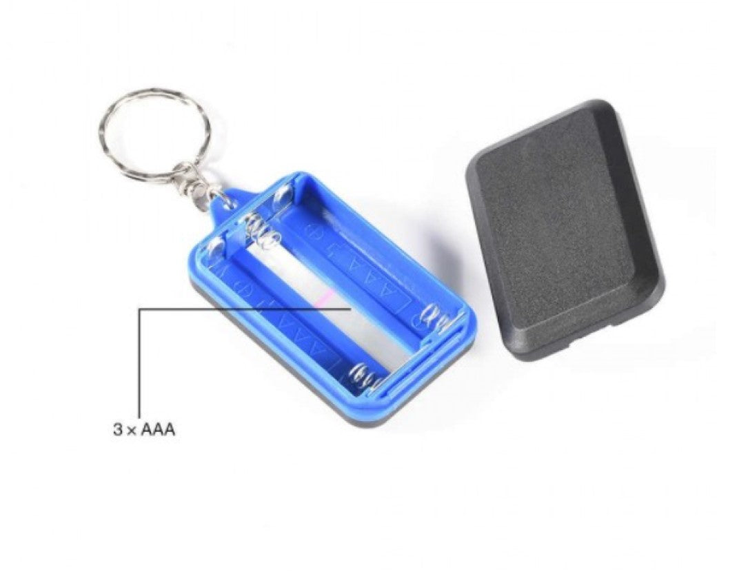 Key chain with LED Light