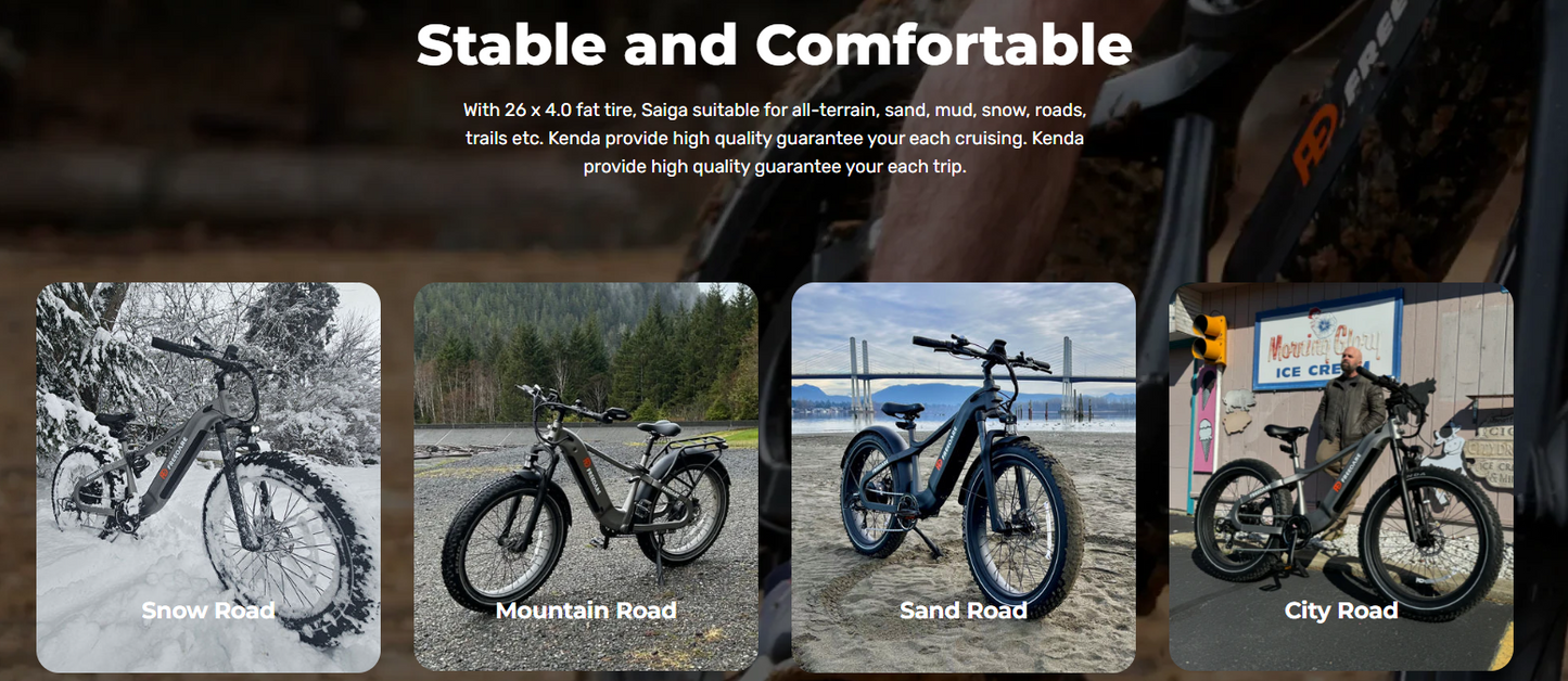 Freedare Saiga Electric Mountain Bike – 750W Motor, 48V Battery, Full Suspension E-Bike