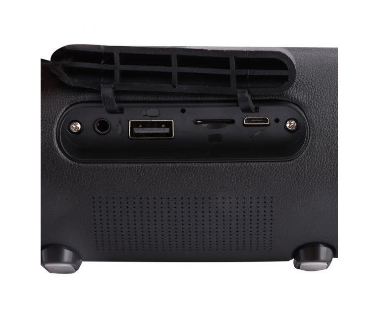 Portable Wireless Speaker (TG165C)