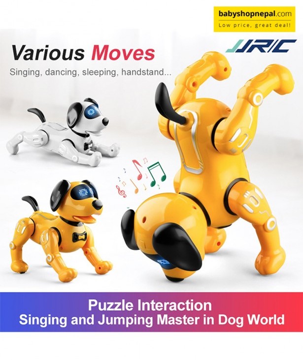 Robot Action Toy Dog - KOOQI Bow-Wow (K11)