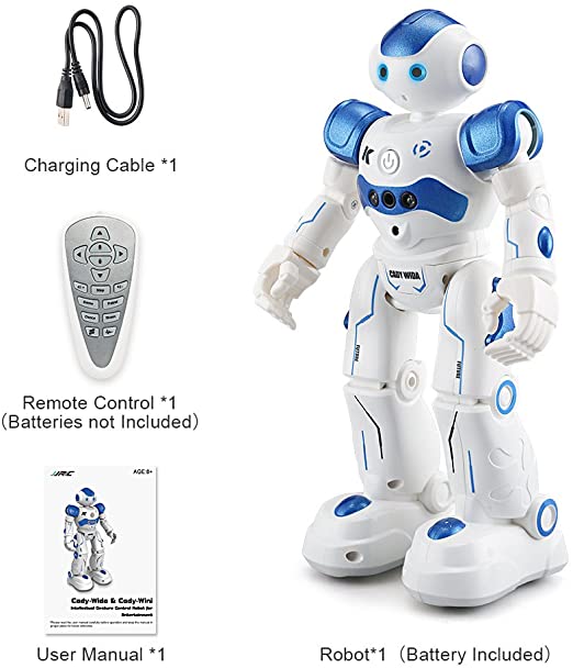 Robot Cady Action Toy (R2)