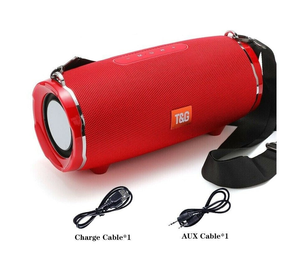 Portable Wireless Speaker (TG187)